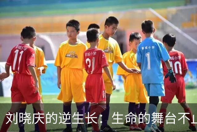 刘晓庆的逆生长：生命的舞台不止于此
